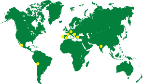 Mapa del mundo